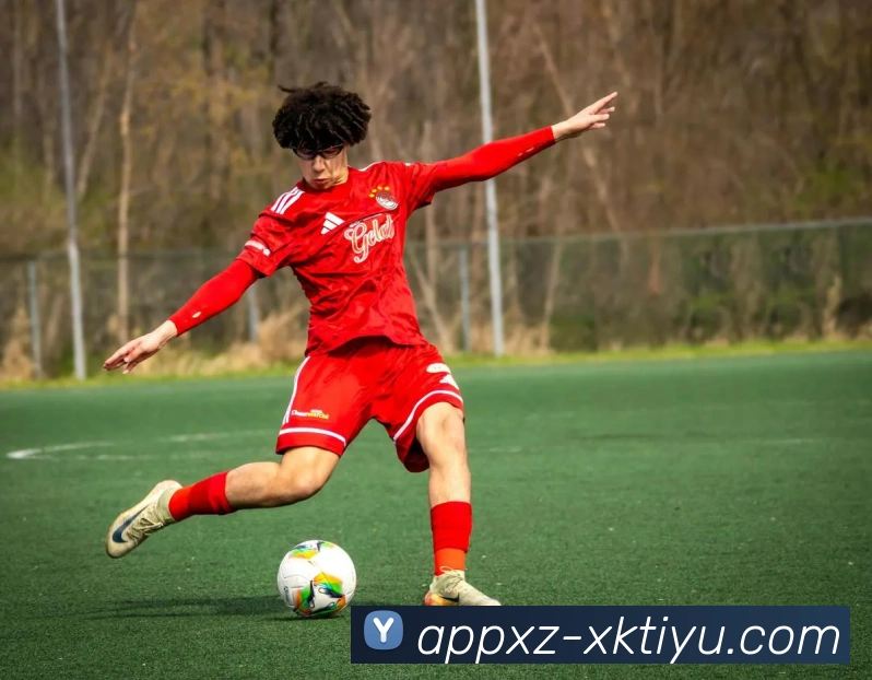 星空体育APP 封面图